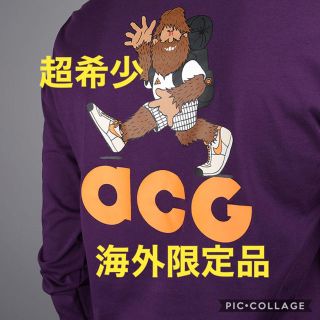 ナイキ(NIKE)の超希少！海外限定品！NIKE ACG ロンT パープル(Tシャツ/カットソー(七分/長袖))