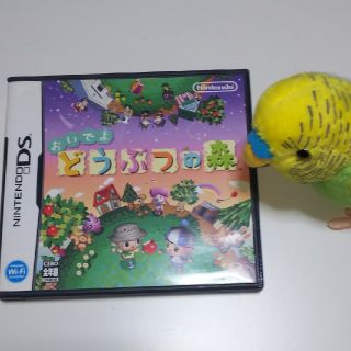 ニンテンドー3DS(ニンテンドー3DS)のDS どうぶつの森 (携帯用ゲームソフト)