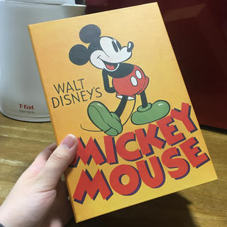 ミッキーマウス(ミッキーマウス)のディズニー　ブック型収納＆ピンバッジ　ミッキーマウス(キャラクターグッズ)