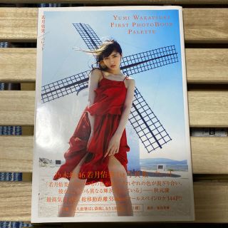 ノギザカフォーティーシックス(乃木坂46)の若月佑美１ｓｔ写真集パレット(女性タレント)