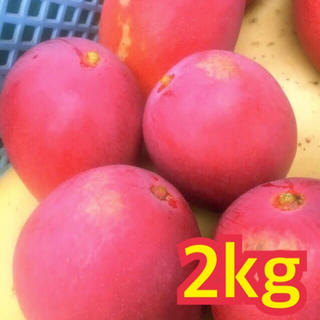 宮崎県産 完熟マンゴー 自家用 2~2.3kg（6~8玉）(フルーツ)