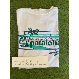 パタゴニア(patagonia)のPataloha Long Tee(Tシャツ/カットソー(七分/長袖))