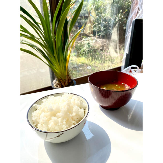 たぬきさんちのお米(新潟県産ブレンド米) 2kg 食品/飲料/酒の食品(米/穀物)の商品写真