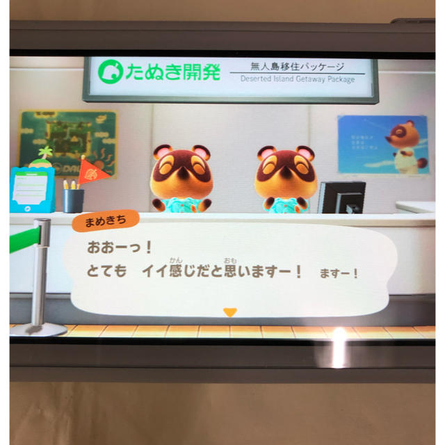 ニンテンドースイッチライト　本体　どうぶつの森