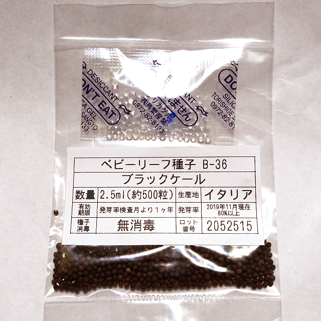 ベビーリーフ種子 B-36 ブラックケール 2.5ml 約500粒 x 2袋 食品/飲料/酒の食品(野菜)の商品写真