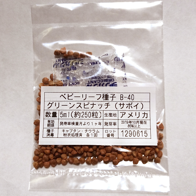 ベビーリーフ種子 B-40 グリーンスピナッチ（サボイ） 5ml x 2袋 食品/飲料/酒の食品(野菜)の商品写真