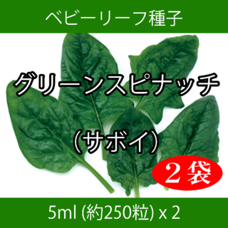 ベビーリーフ種子 B-40 グリーンスピナッチ（サボイ） 5ml x 2袋(野菜)