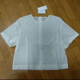 ルシェルブルー(LE CIEL BLEU)のルシェルブルー☆ホワイトコットンTシャツ☆40☆LECIELBLUE(Tシャツ(半袖/袖なし))