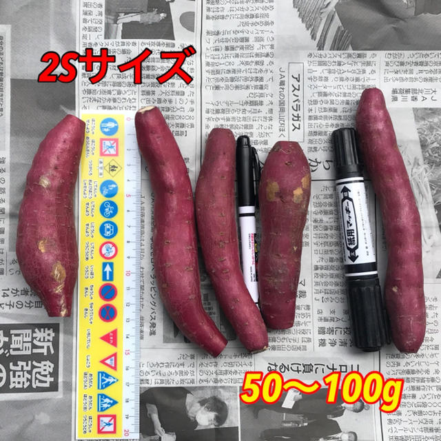 鳴門金時2Sサイズ さつまいも 送料無料 食品/飲料/酒の食品(野菜)の商品写真