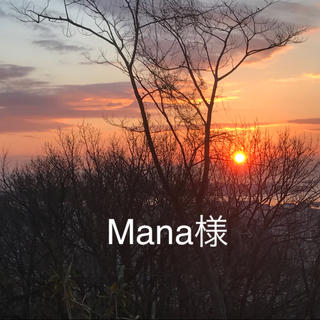 Mana様専用(美容液)