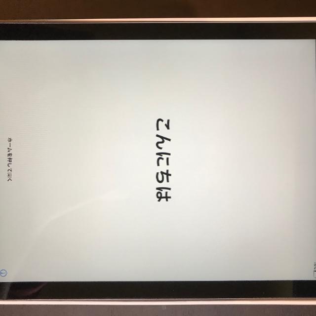 iPad 第６世代　32GB Wi-Fi Space Gray