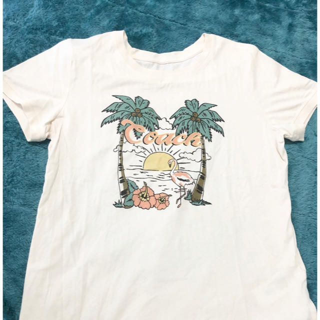 coachコーチTシャツ