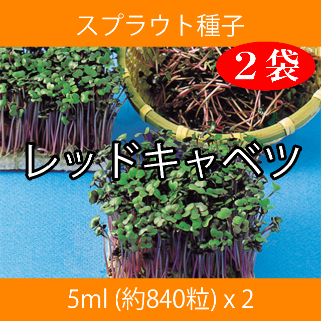 スプラウト種子 S-02 レッドキャベツ 5ml 約840粒 x 2袋 食品/飲料/酒の食品(野菜)の商品写真