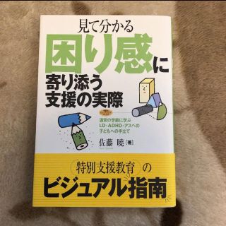 見て分かる困り感に寄り添う支援の実際(ノンフィクション/教養)