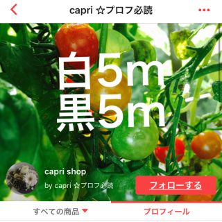 capriさん専用　白5m黒5m(各種パーツ)