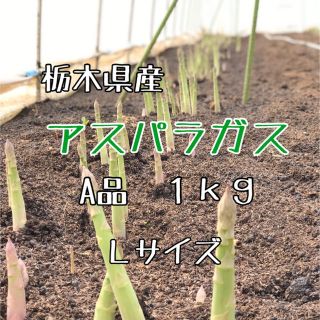 栃木県産アスパラガス(野菜)