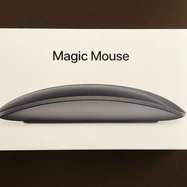 magic mouse 2-space gray