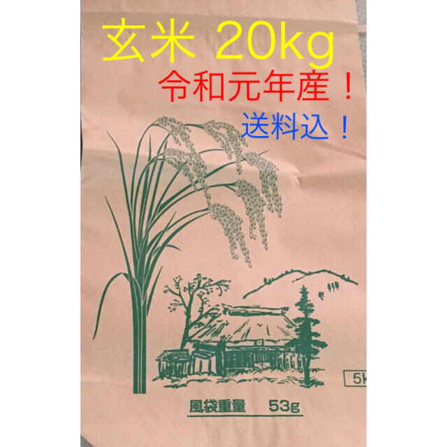 玄米☆広島産ヒノヒカリ20kg！令和元年　米/穀物