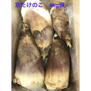 京都乙訓産　朝採りたけのこ　4キロ弱　筍　竹の子(野菜)