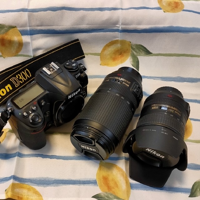 Nikon D300 定番レンズ2本セット