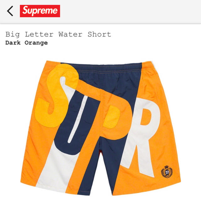 Supreme BigLetter WaterShort 水着 海パン Mサイズ付属品