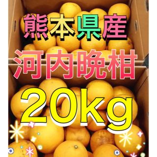 熊本県産河内晩柑20kg(フルーツ)