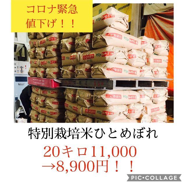 緊急値下げセール！コロナ応援キャンペーン！！宮城県産特別栽培米ひとめぼれ20キロ　米/穀物