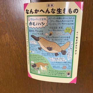 コウブンシャ(光文社)の図解なんかへんな生きもの(アート/エンタメ)