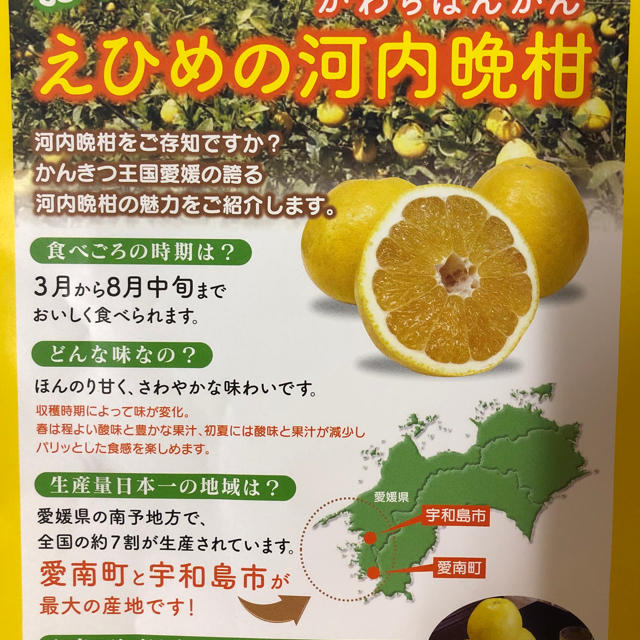 愛媛県産 みかん 農家直送 愛南ゴールド(河内晩柑) 食品/飲料/酒の食品(フルーツ)の商品写真