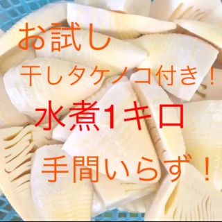 秩父市産　完全無農薬　たけのこ　水煮　お試し干しタケノコ付き！(野菜)