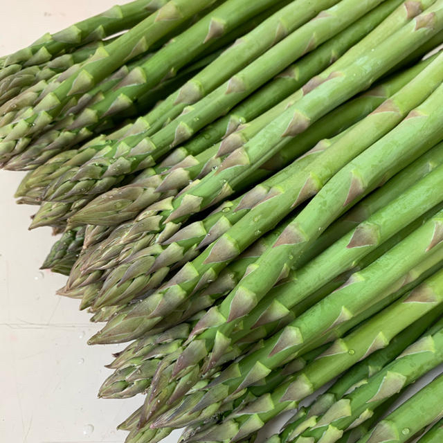 栃木県産アスパラガス 食品/飲料/酒の食品(野菜)の商品写真