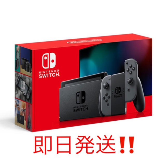 Nintendo Switch  本体 新型 グレーどうぶつの森