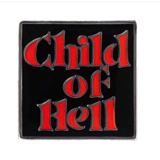 シュプリーム(Supreme)のSupreme Child of Hell Pins(その他)