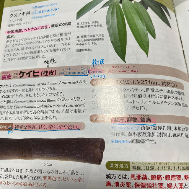 生薬単 エンタメ/ホビーの本(健康/医学)の商品写真