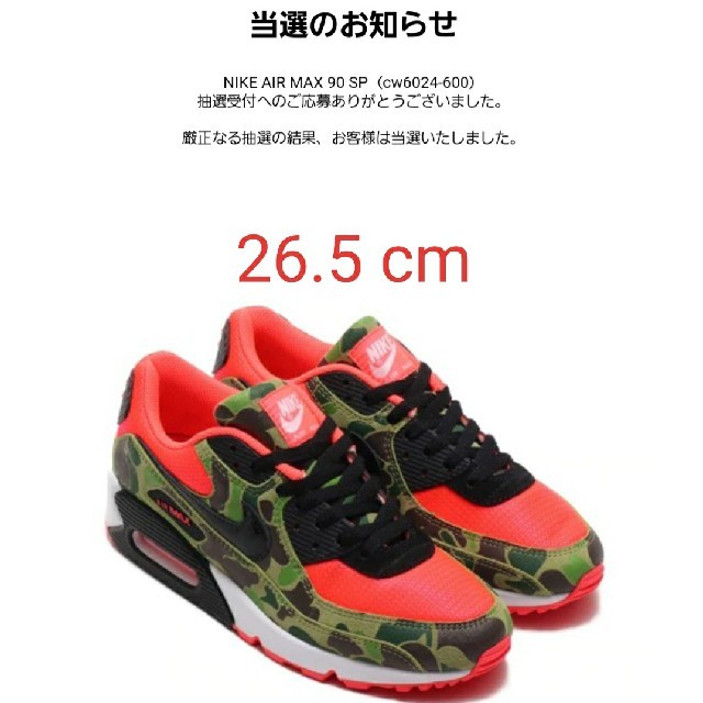 NIKE(ナイキ)の(新品未使用) NIKE AIR MAX 90 SP カモ 26.5cm メンズの靴/シューズ(スニーカー)の商品写真