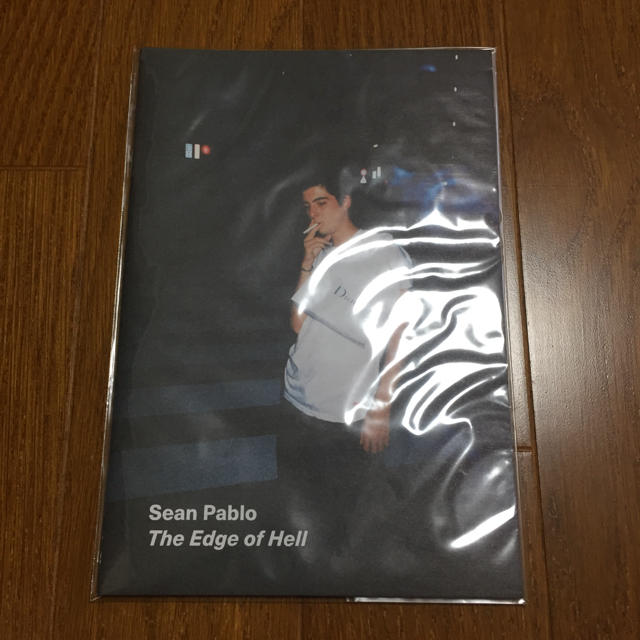 Supreme(シュプリーム)のThe Edge of Hell Sean Pablo ZINE エンタメ/ホビーの本(洋書)の商品写真