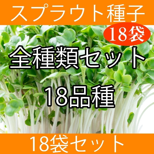 パイン様専用　セレクト種子　10袋 食品/飲料/酒の食品(野菜)の商品写真