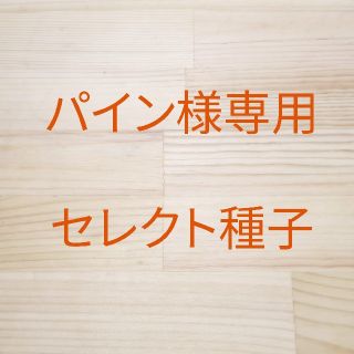 パイン様専用　セレクト種子　10袋(野菜)