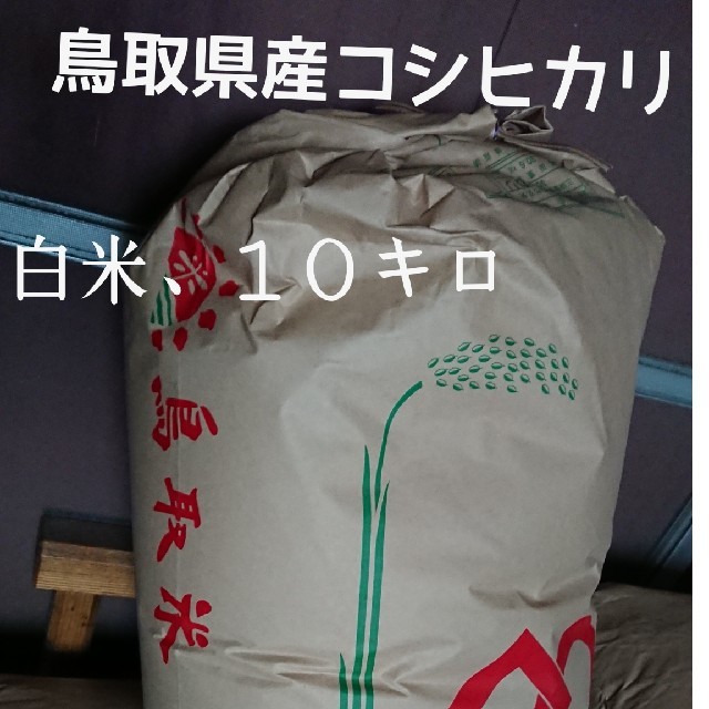 白米10kg入り、令和元年、鳥取県産､コシヒカリ 食品/飲料/酒の食品(米/穀物)の商品写真