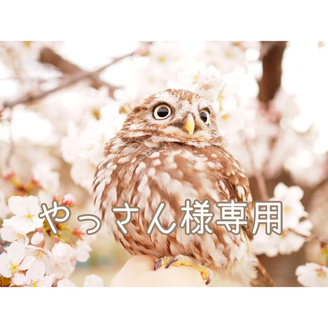 やっさん様専用の通販 by Hmimama Shop|ラクマ