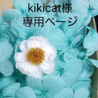 kikicat様専用ページ(プリザーブドフラワー)