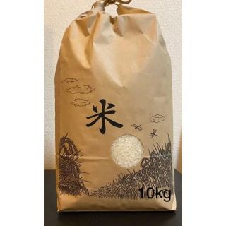 お米10kg 新米 ☆コシヒカリ☆(米/穀物)