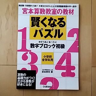 賢くなるパズル　数字ブロック初級(語学/参考書)