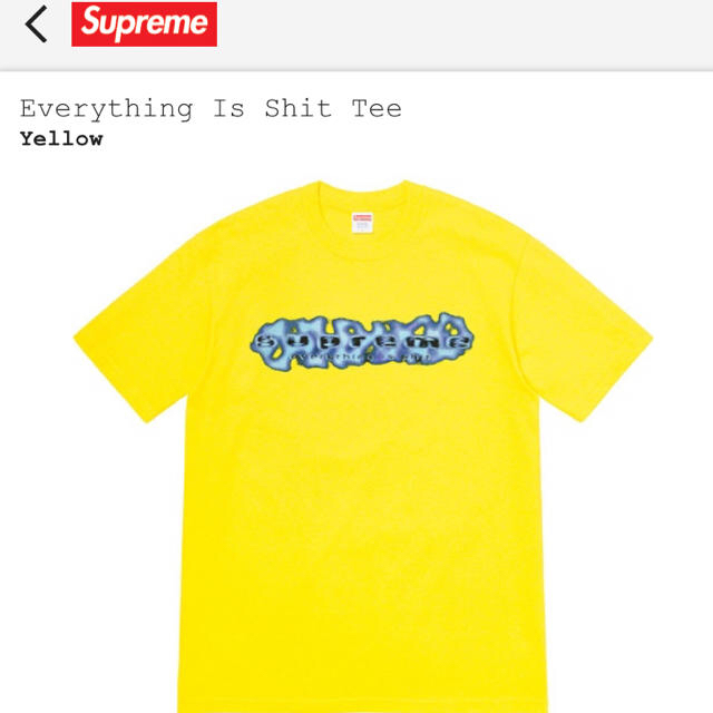 Supreme(シュプリーム)のsupreme Tシャツ メンズのトップス(Tシャツ/カットソー(半袖/袖なし))の商品写真