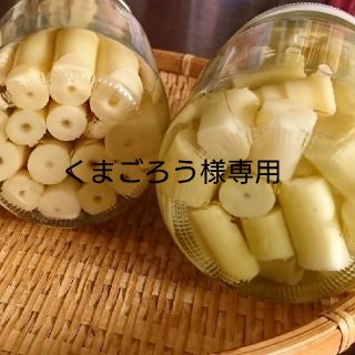 くまごろう様専用♪ねまがりたけ３本セット(缶詰/瓶詰)