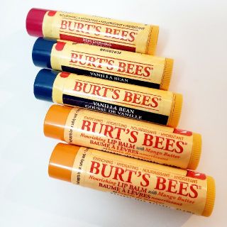 バーツビーズ(BURT'S BEES)の【未使用】BURT'S BEETS リップバーム5本セット(リップケア/リップクリーム)