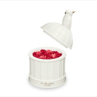 レメルヴェイユーズラデュレ(Les Merveilleuses LADUREE)の★LADUREE★限定品 6thアニバーサリー 陶器ポット LADUREE(その他)