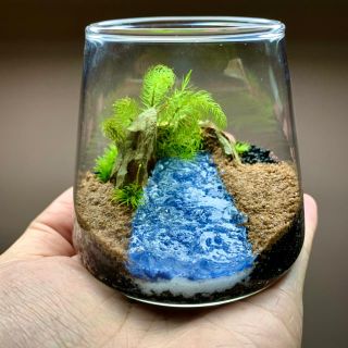 ☆専用出品☆ 苔テラリウム　作成キット(その他)