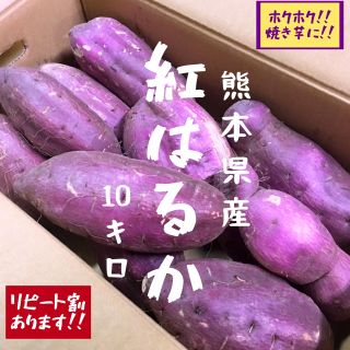 熊本県産 紅はるか 熟成サツマイモ 2L〜4L (野菜)