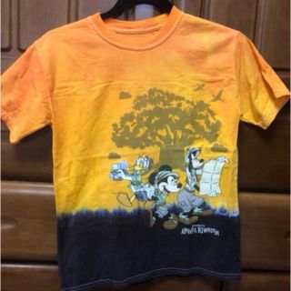 ディズニー(Disney)のWDW Tシャツ アニマルキングダム　ウォルトディズニーワールド(Tシャツ/カットソー)